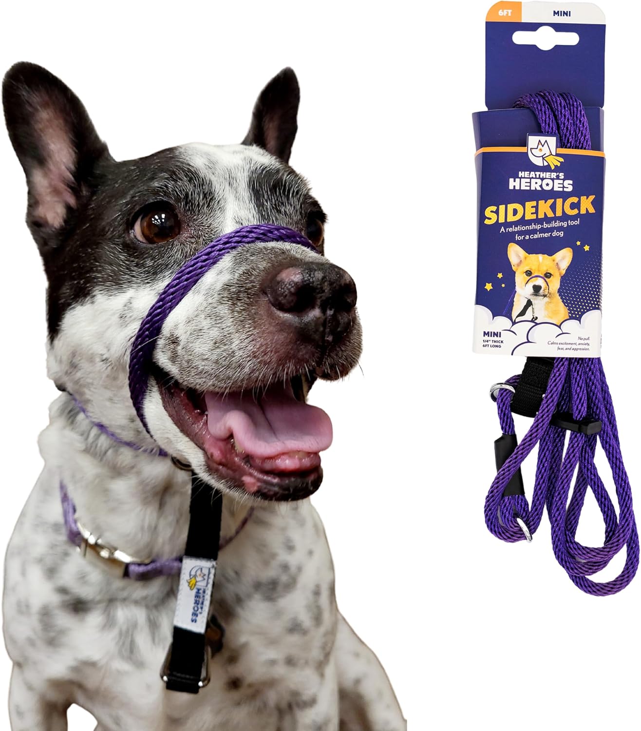 Heather's Heroes Sidekick Dog Headcollar with Leash - Sidekick Leash for Dogs, Effective Dog Training Tool for Leash Reactivity and Behavior Issues (Turquoise, Mini (1/4")) - Image 15