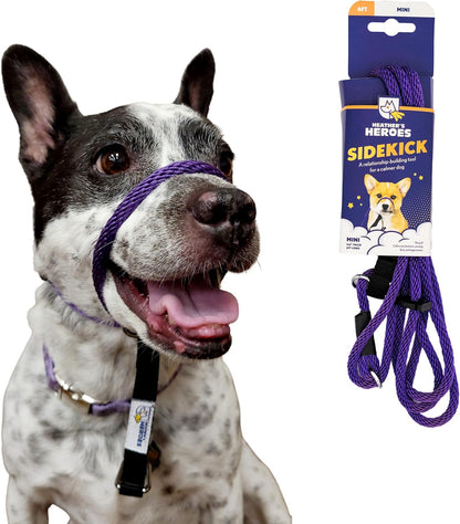 Heather's Heroes Sidekick Dog Headcollar with Leash - Sidekick Leash for Dogs, Effective Dog Training Tool for Leash Reactivity and Behavior Issues (Turquoise, Mini (1/4")) - Image 15