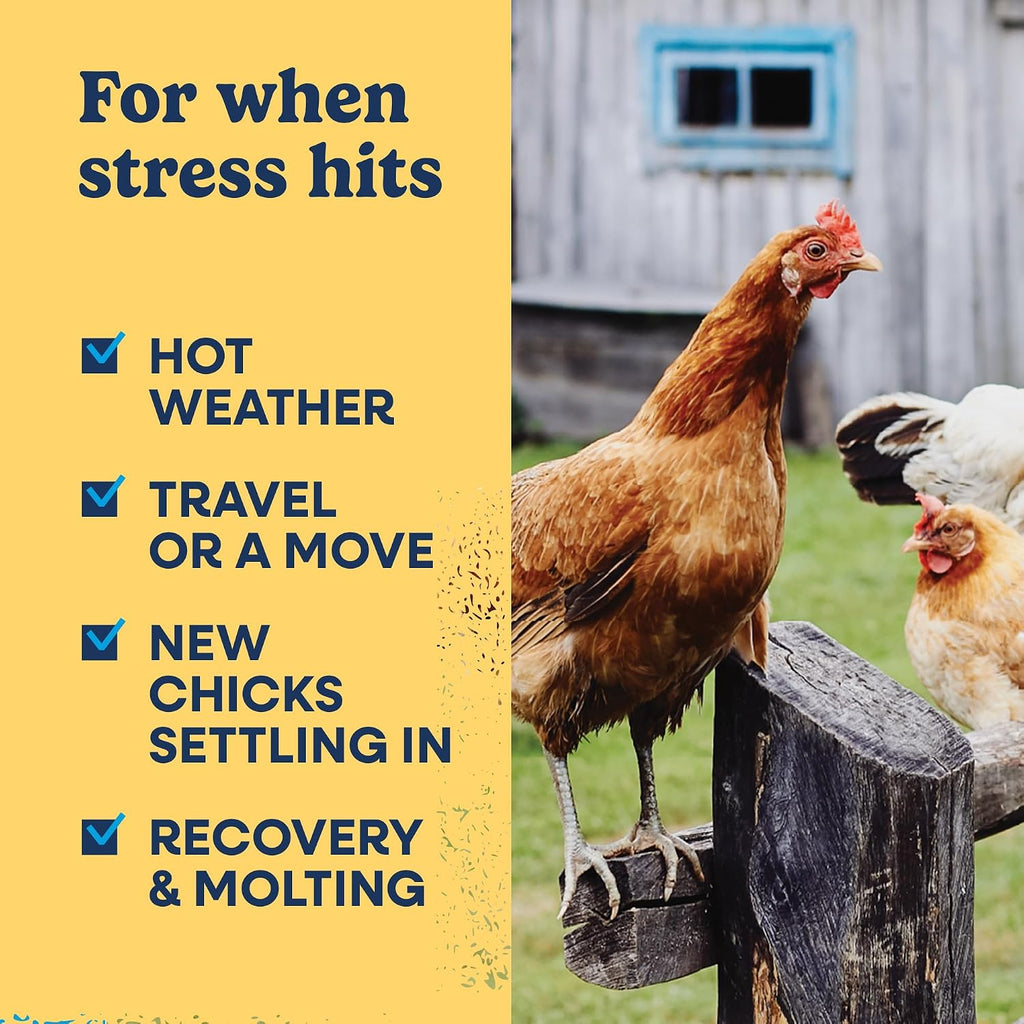 Manna Pro Hydro-Hen Poultry Supplement, Digestive & Probiotic, 20 oz - Image 8