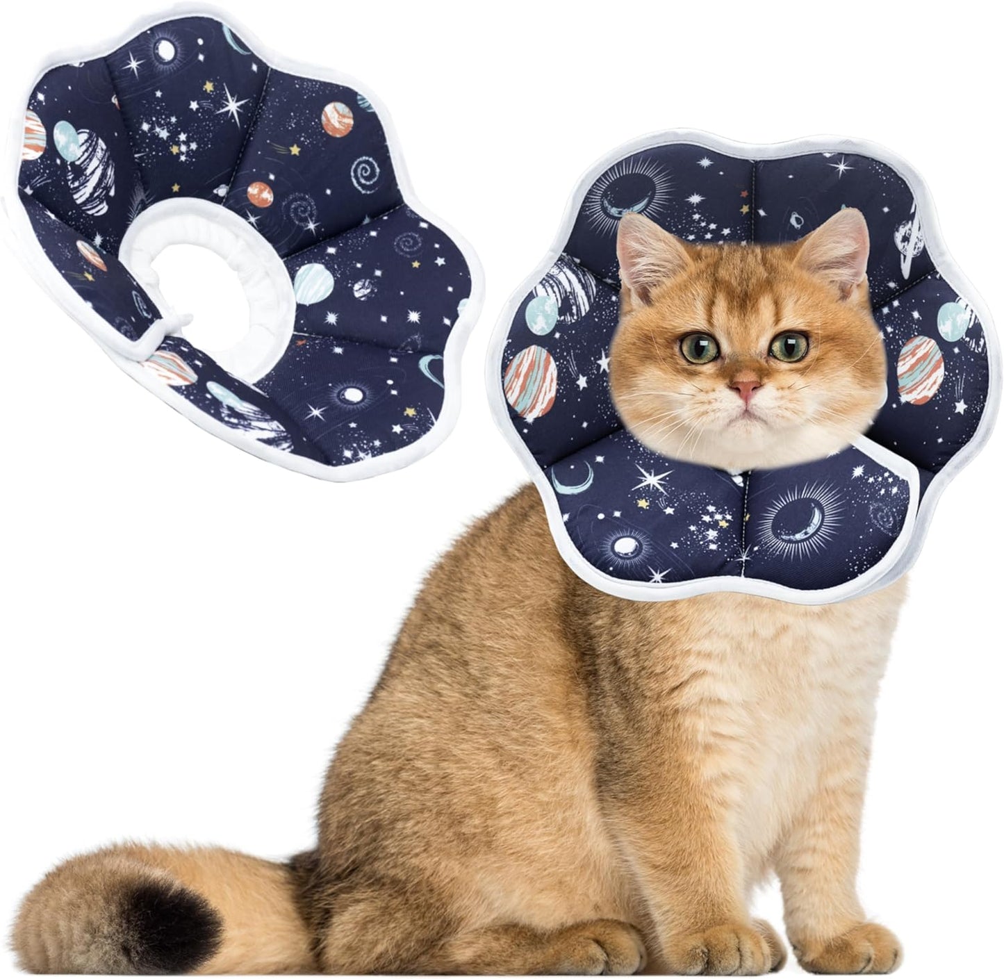 Maiiu soft adjustable cat cone collar front view dark blue comfortable recovery cone for small cats