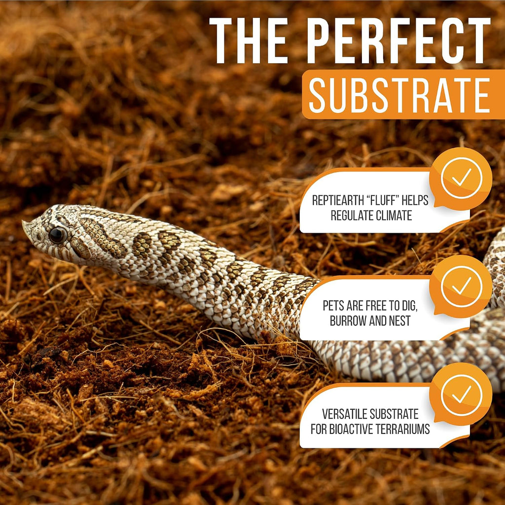 Reptile enclosure styled with coconut fiber bedding