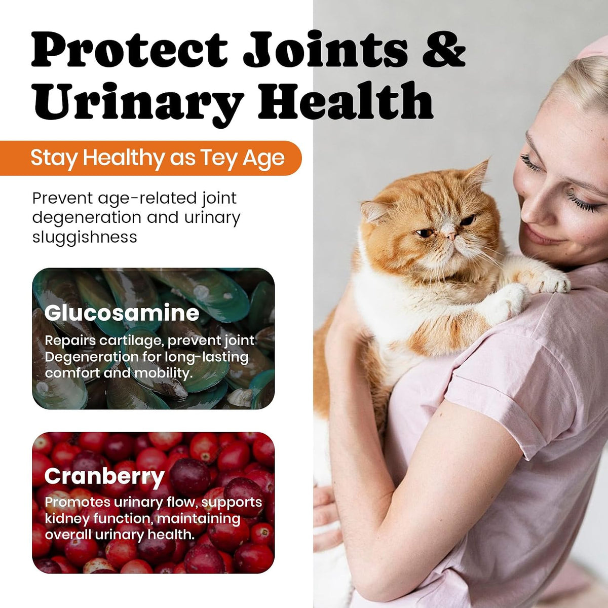 A lifestyle shot of the Buddycheer 60 day supply pet multivitamin container for indoor felines.