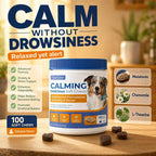OurCares dog anxiety relief soft treats container showing fifteen count packaging.