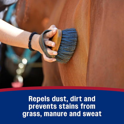 Professional show ring horse grooming spray concentrate bottle