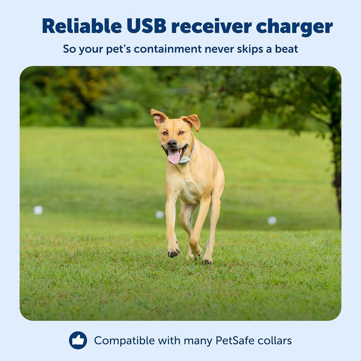 Close up look at the proprietary two pin charging interface of the PetSafe fence collar cord.