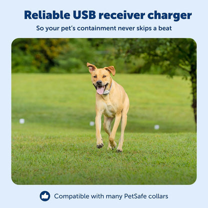 Close up look at the proprietary two pin charging interface of the PetSafe fence collar cord.