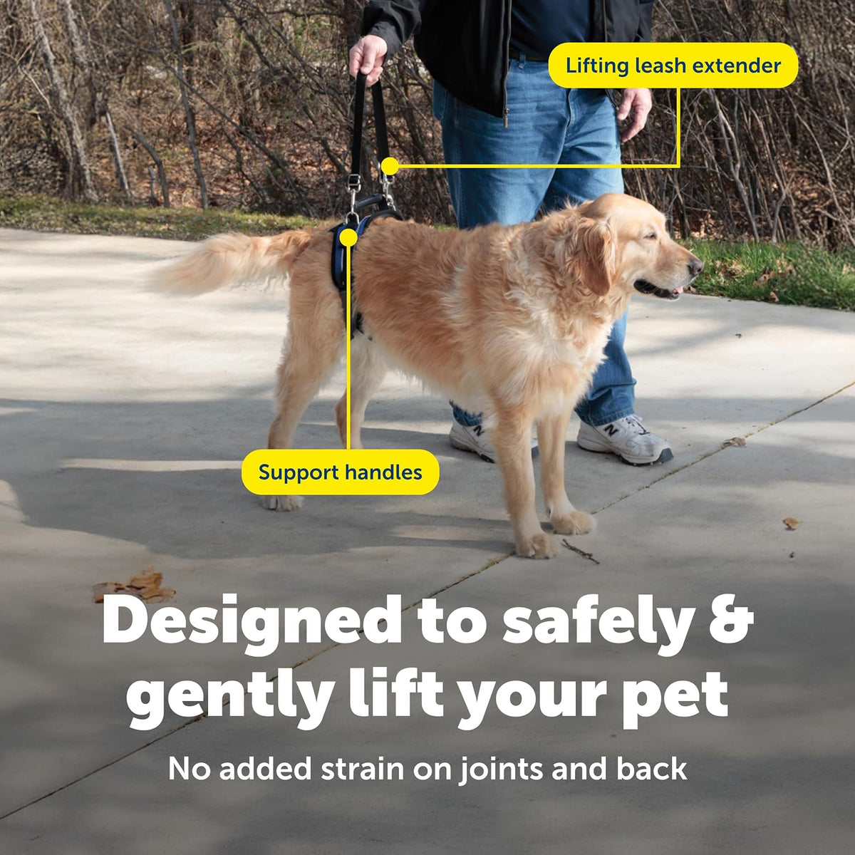 Golden Retriever wearing PetSafe CareLift harness for mobility