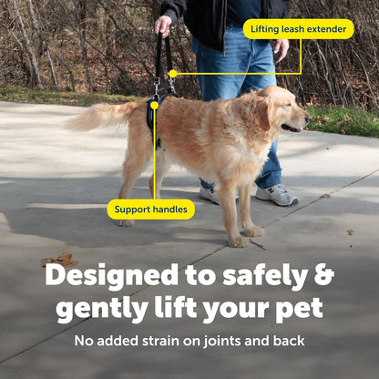 Rear view of PetSafe dog lifting aid on large breed