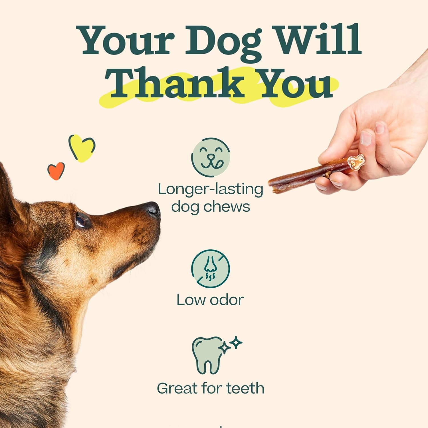 Durable non toxic nylon dog treat holder close up view