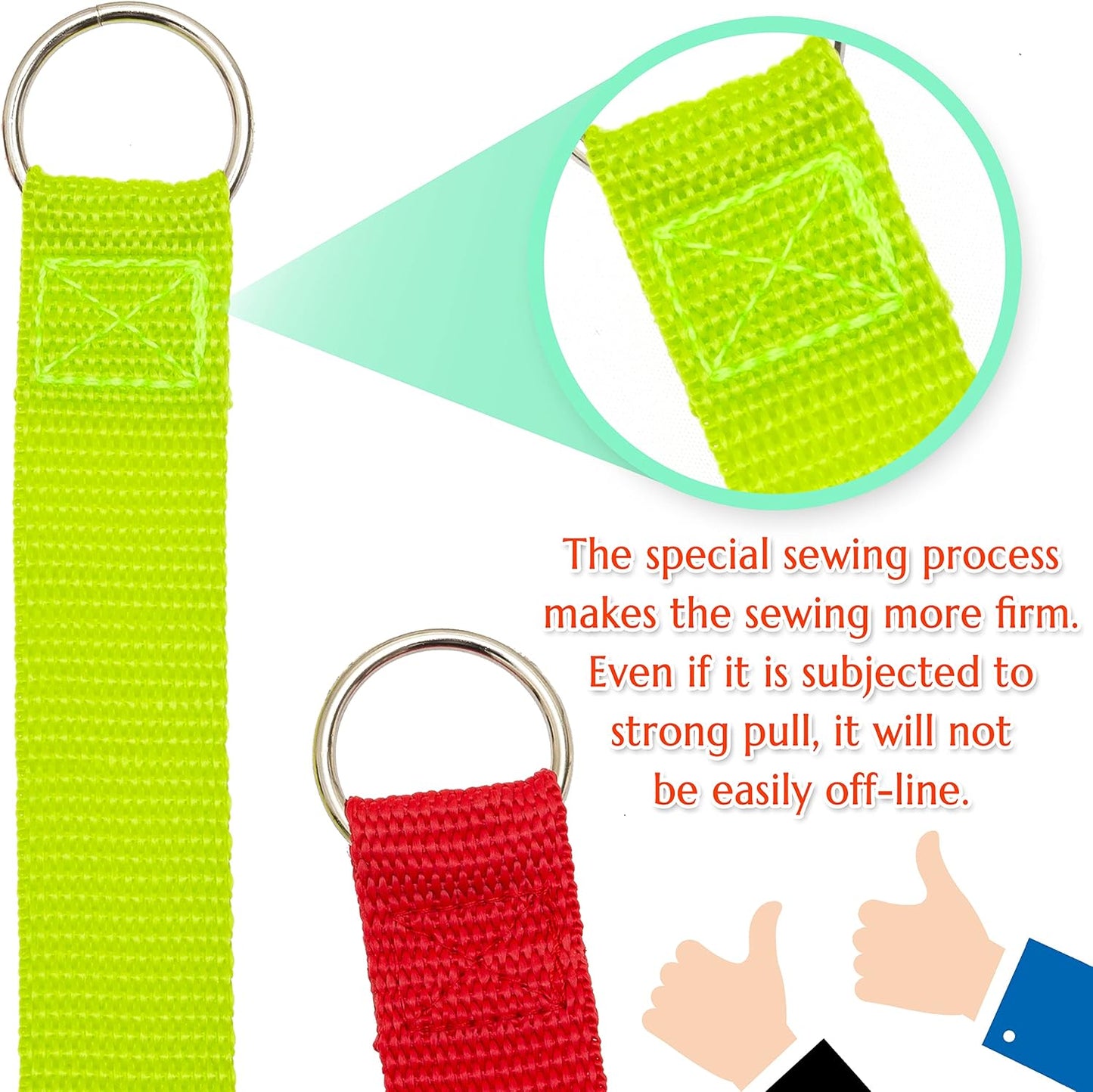 Multicolor kennel control leads for shelter rescue and veterinary use