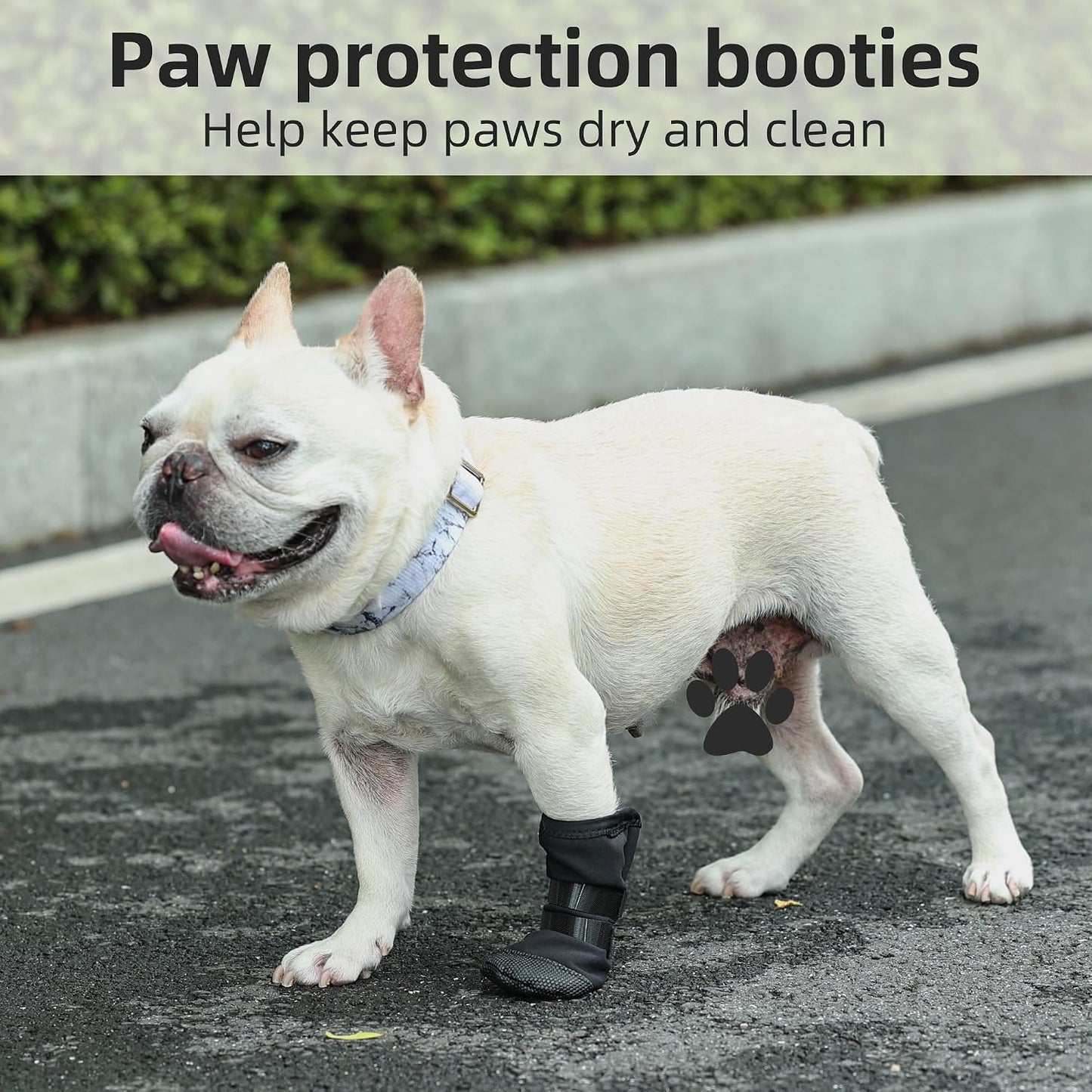 Adjustable self-adhesive strap on dog wound boot