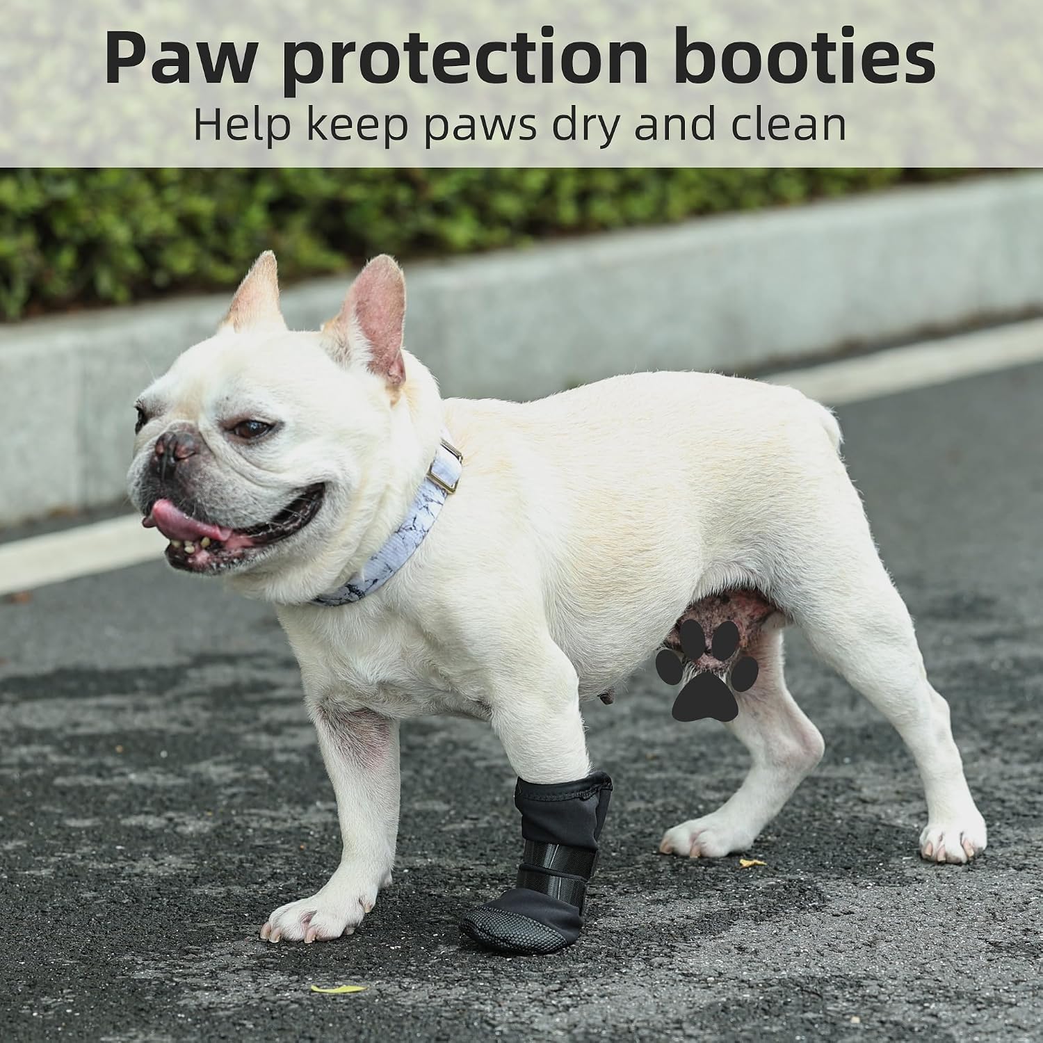 Adjustable self-adhesive strap on dog wound boot