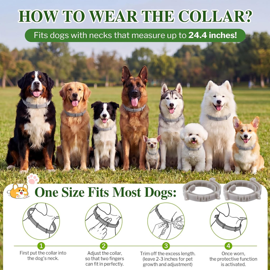 Detailed view of Mysora dog collar material
