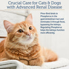 Veterinary recommended Rx Vitamins Phos-Bind for pets