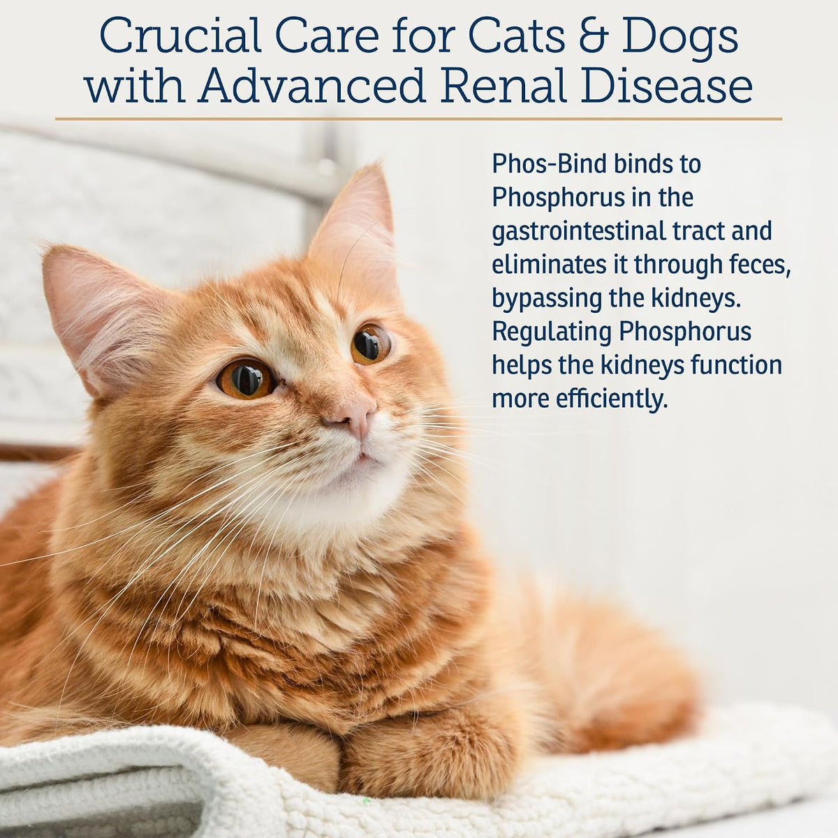 Veterinary recommended Rx Vitamins Phos-Bind for pets