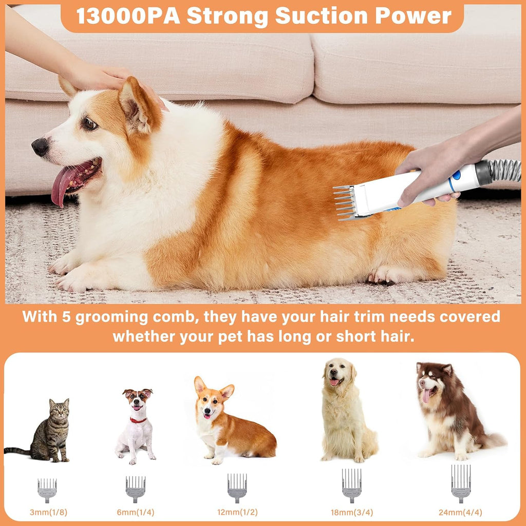 Petmolico pet vacuum cleaner nozzle head tool cleaning dog hair out of living room sofa cushions.