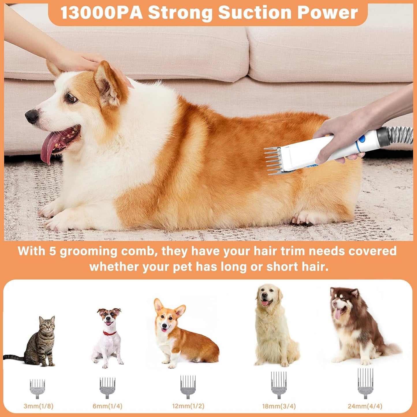 Petmolico pet vacuum cleaner nozzle head tool cleaning dog hair out of living room sofa cushions.