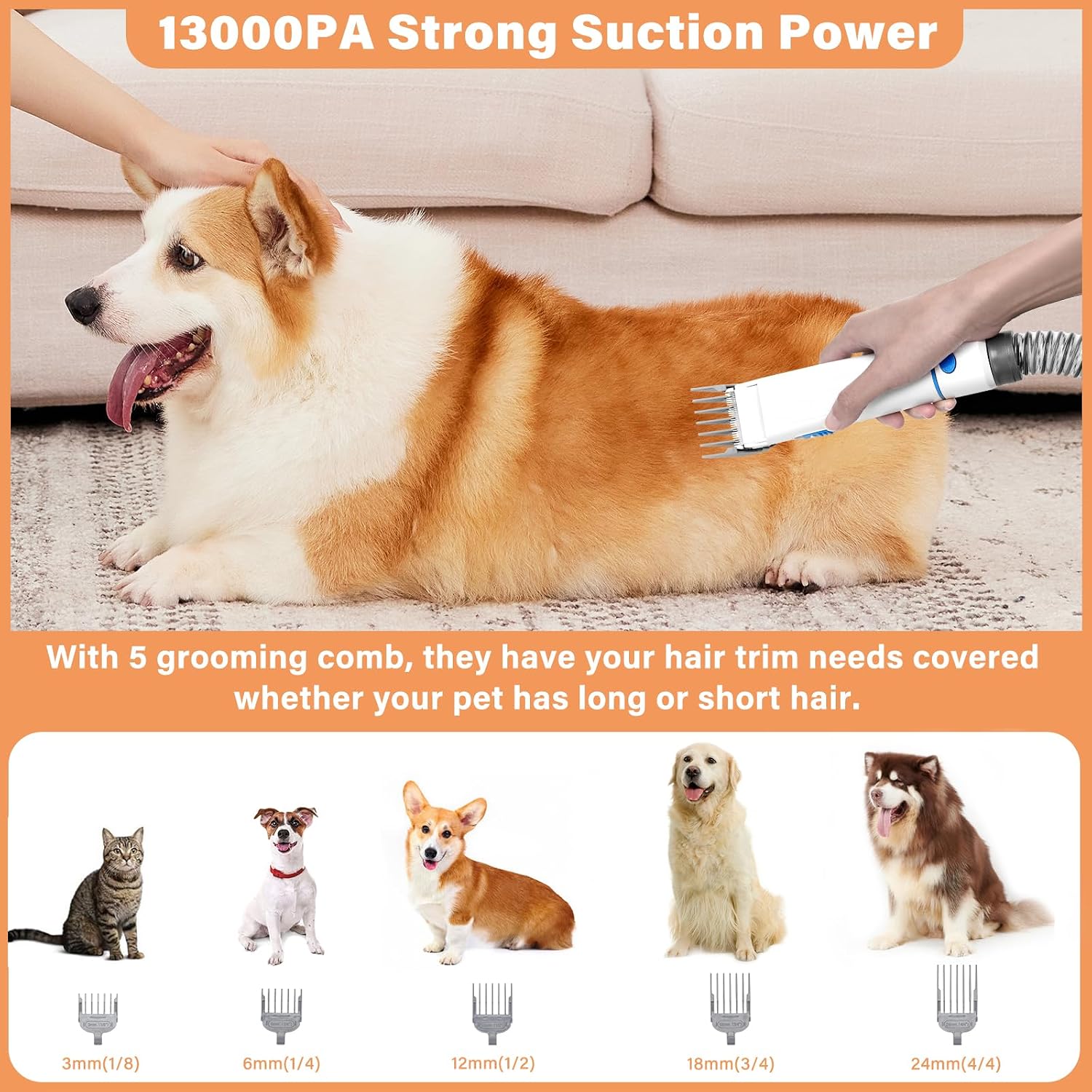 Petmolico pet vacuum cleaner nozzle head tool cleaning dog hair out of living room sofa cushions.