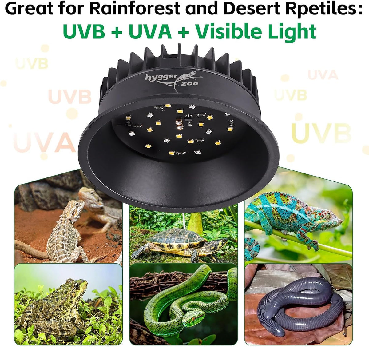 Hygger Zoo full spectrum UVB reptile bulb illuminating enclosure