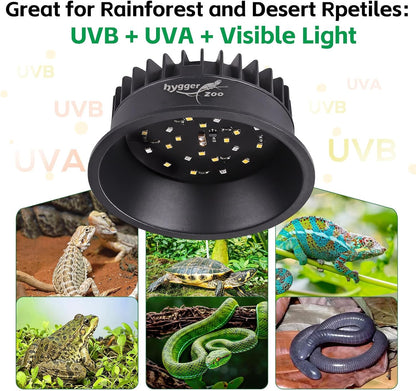 Premium LED terrarium light bulb assembly providing essential habitat illumination.