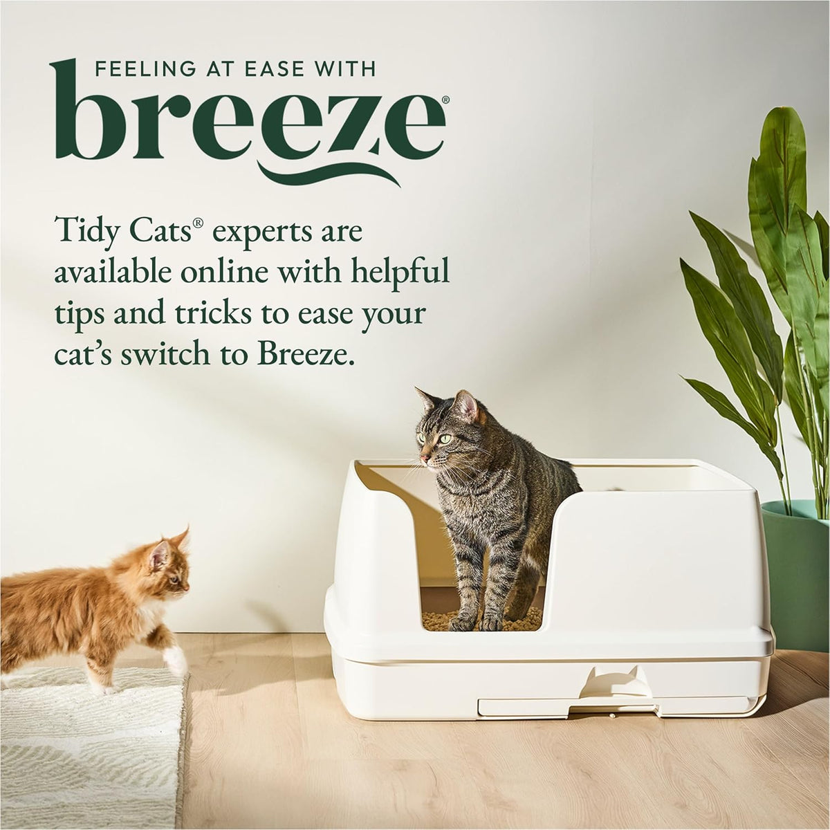 Purina Tidy Cats Breeze XL dual layer grated tray