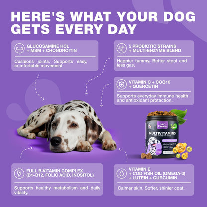 Authentic USA imported dog vitamins 180 count container