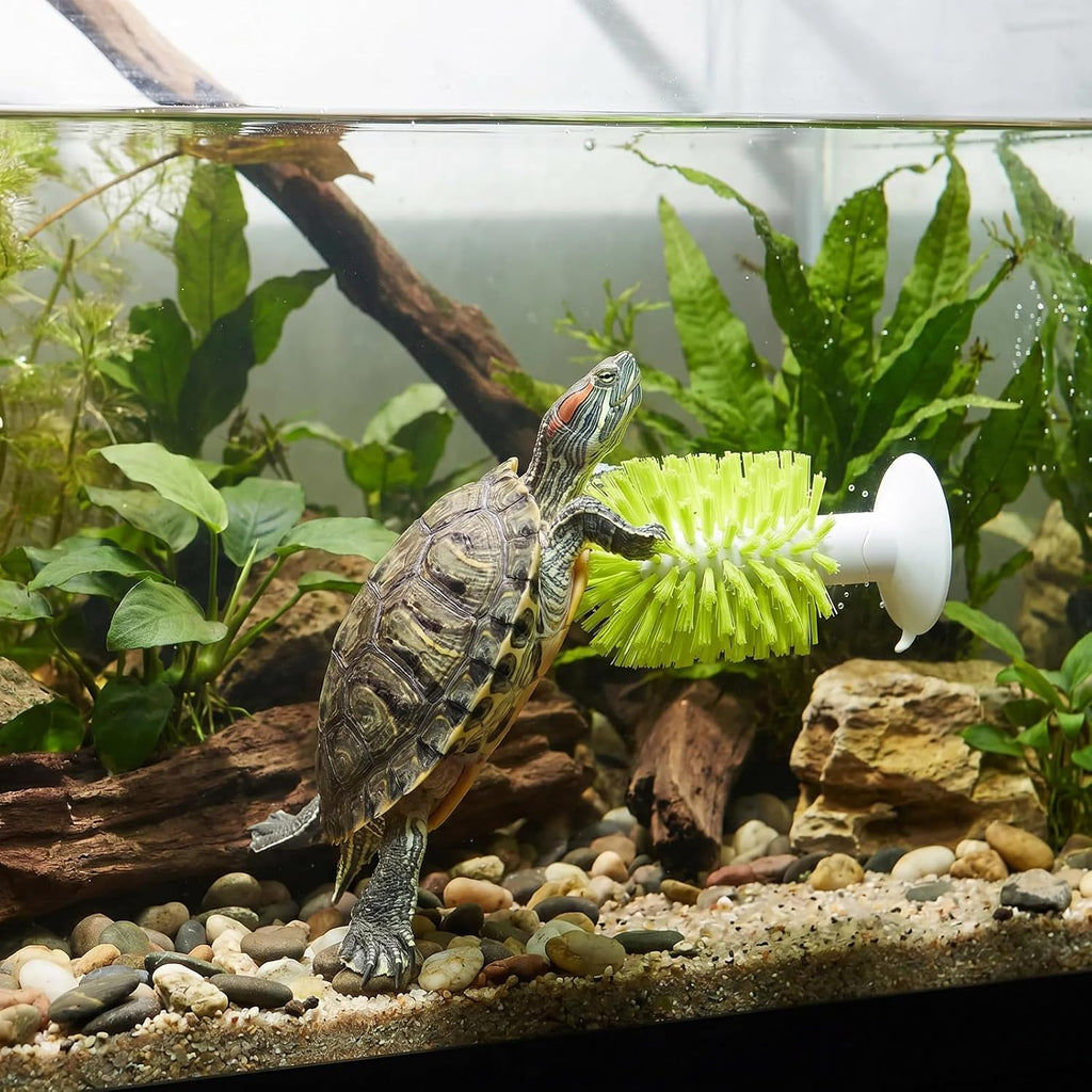 Gosknor turtle self cleaning back scratcher installed as an underwater resting perch