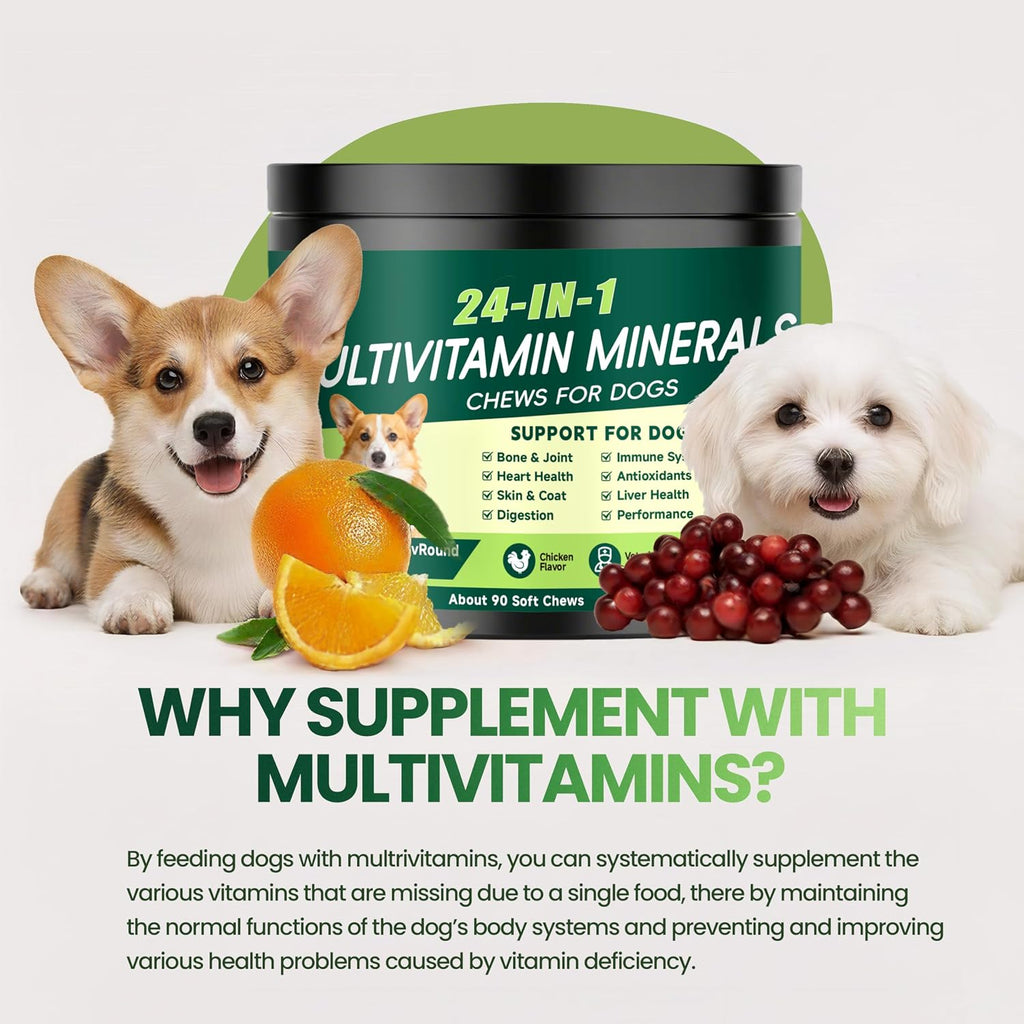 Eiza premium dog vitamins close up view of soft chewable supplements