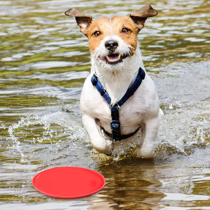 Top down view of Chivao dog training saucer 18 centimeters