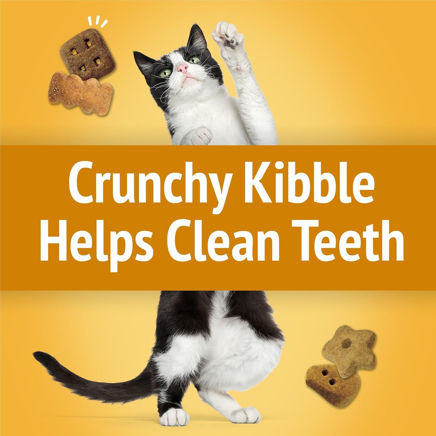 Bite sized crunchy cat treats with cheddar Swiss and Monterey Jack cheese flavors close up view