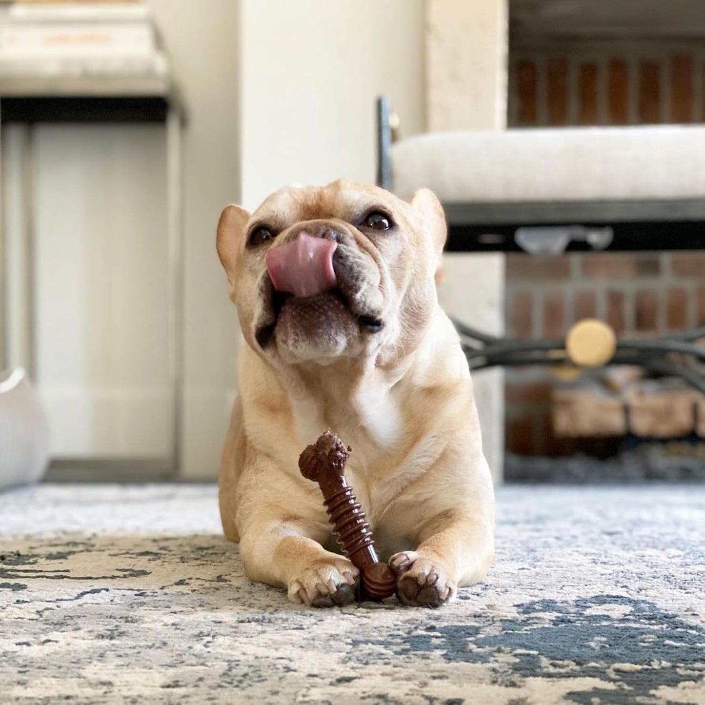 Nylabone small dog bone toy for pets up to 25 pounds