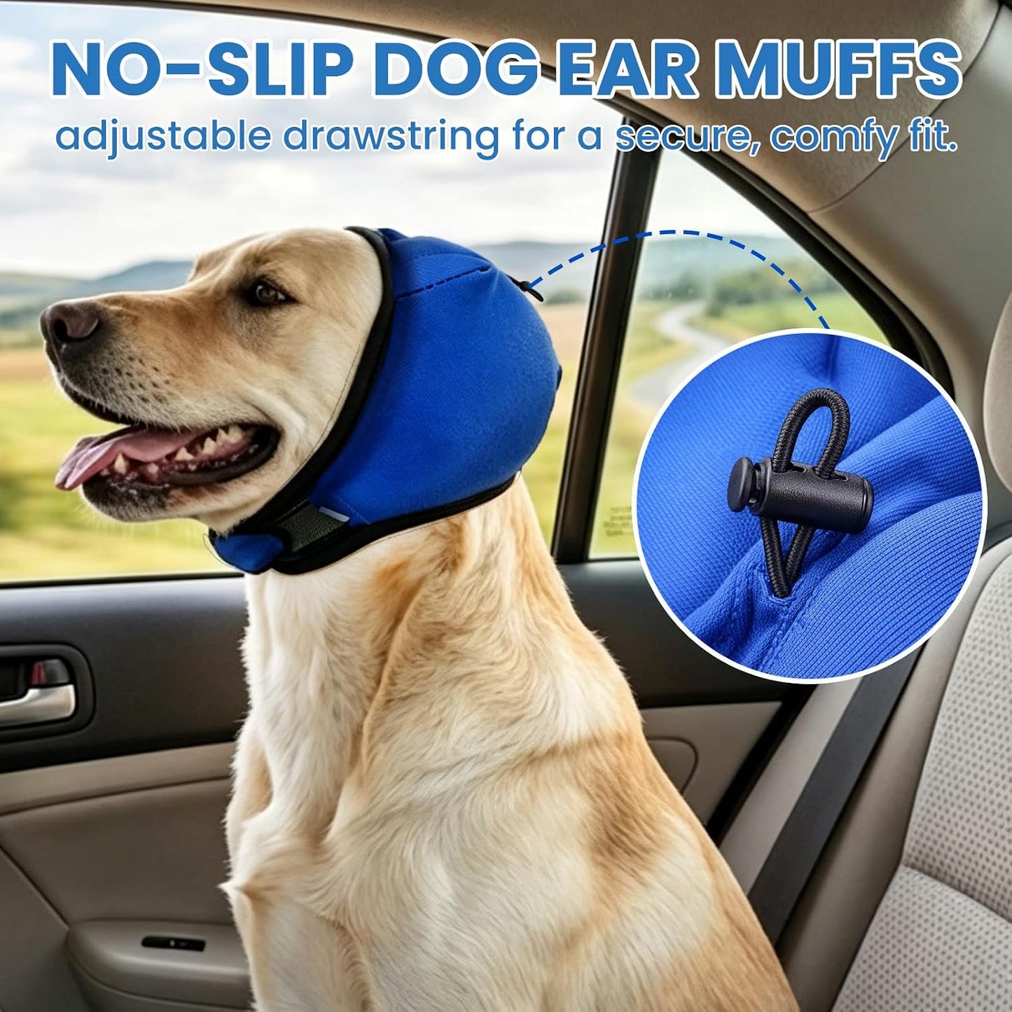 Blue noise cancelling ear wrap on a dog close up