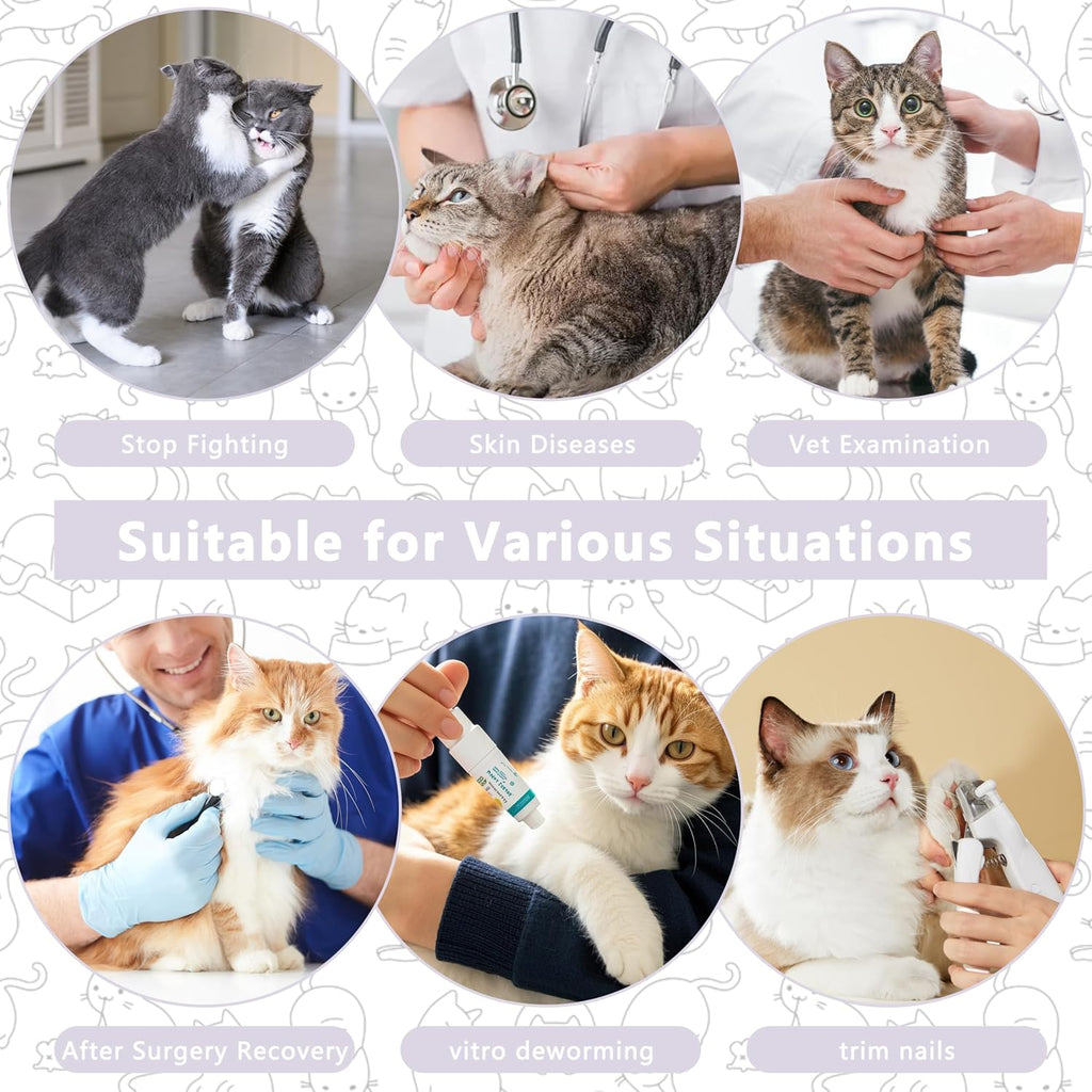 Medium size purple cat protective e-collar for upper body incision healing.