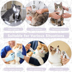 Medium size purple cat protective e-collar for upper body incision healing.