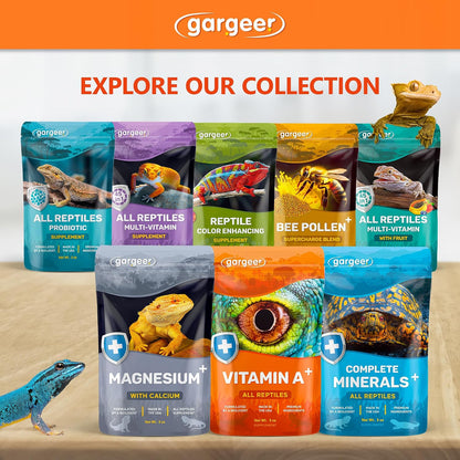 Educational infographic showing benefits of Gargeer reptile supplement