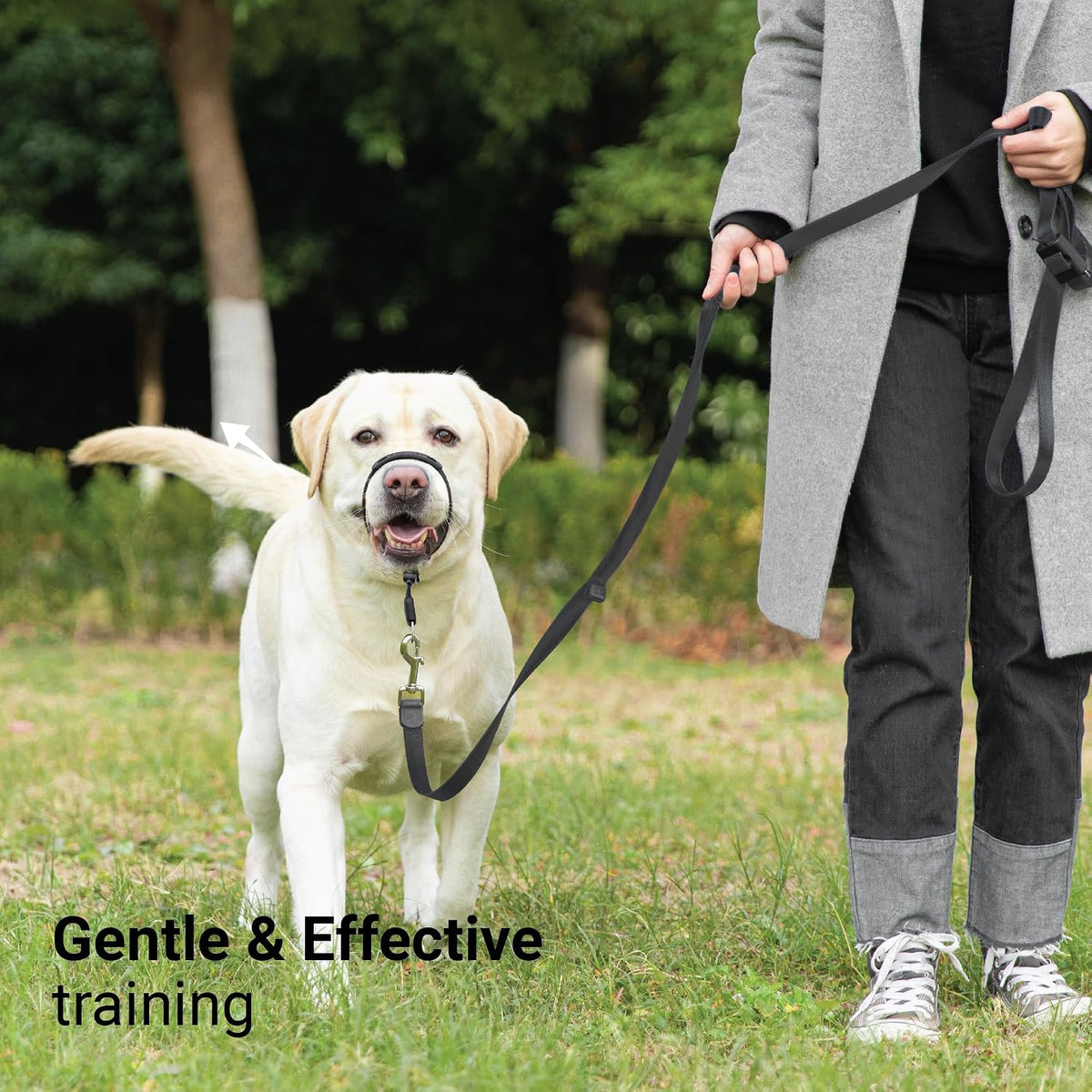 SVD.PET dog headcollar safety strap for regular collar