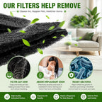 QUEARN odor neutralizing carbon pads lifestyle setup near automatic pet litter box