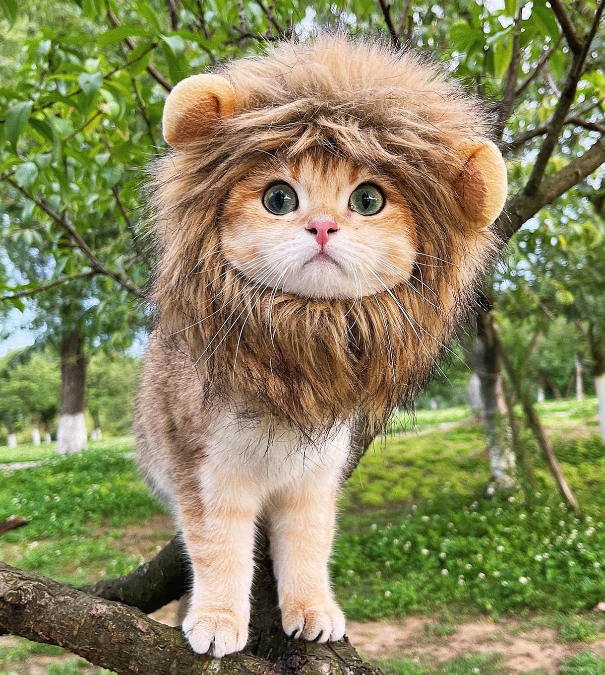 Brown fluffy lion mane costume for cats