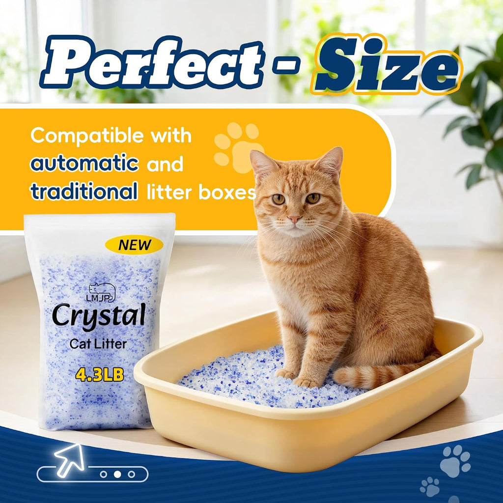 Clean litter box surface with LMJP silica crystals