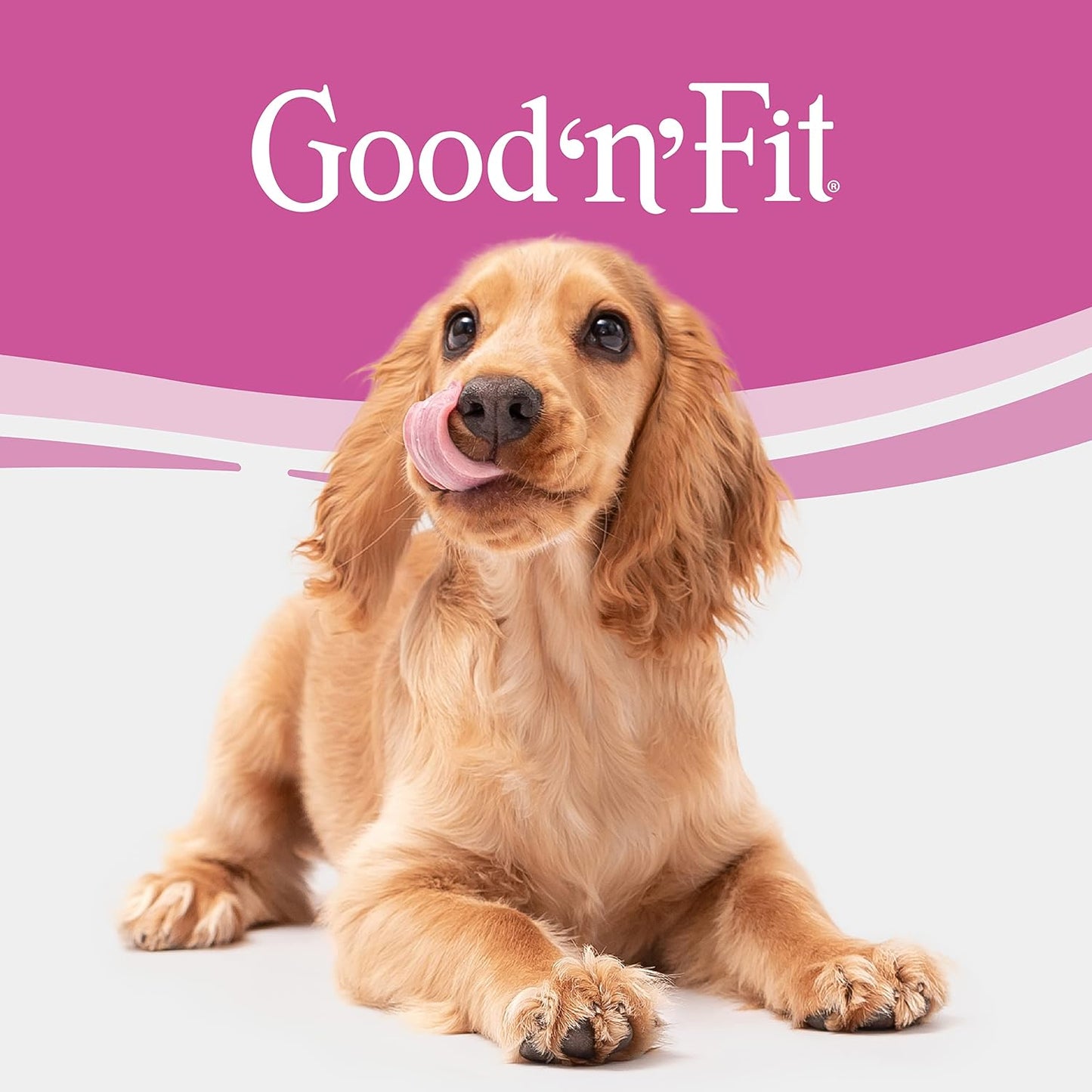 Detailed texture view of Good 'n' Fit high protein dog treat