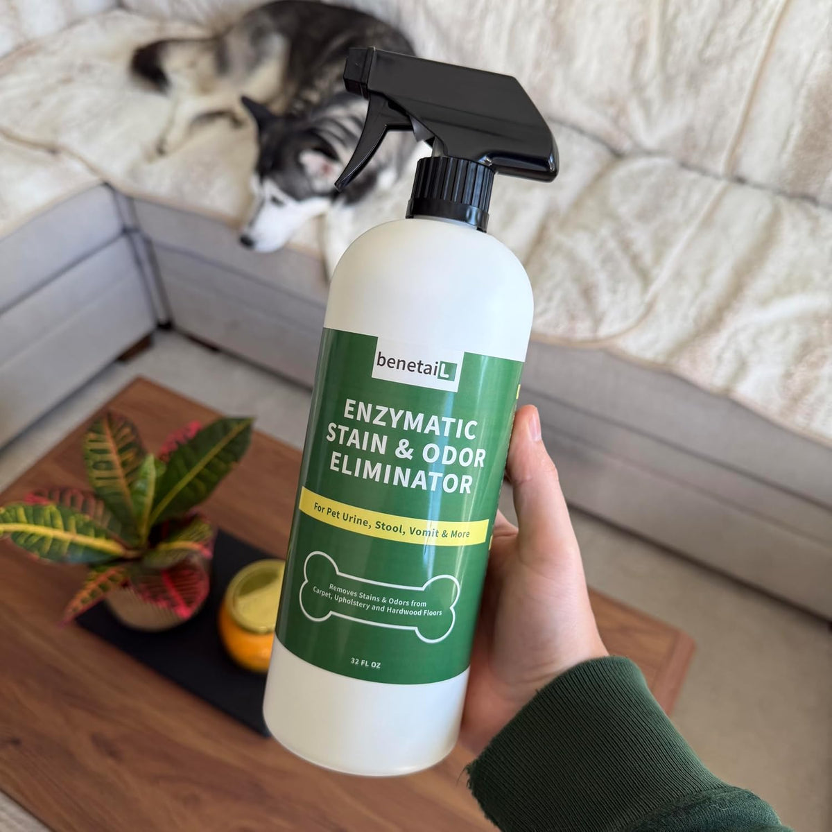 Close up of Benetail pet stain spray highlighting the premium USA imported packaging.