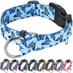 Fidohug no-slip training collar for medium dogs packaged and ready for walking use