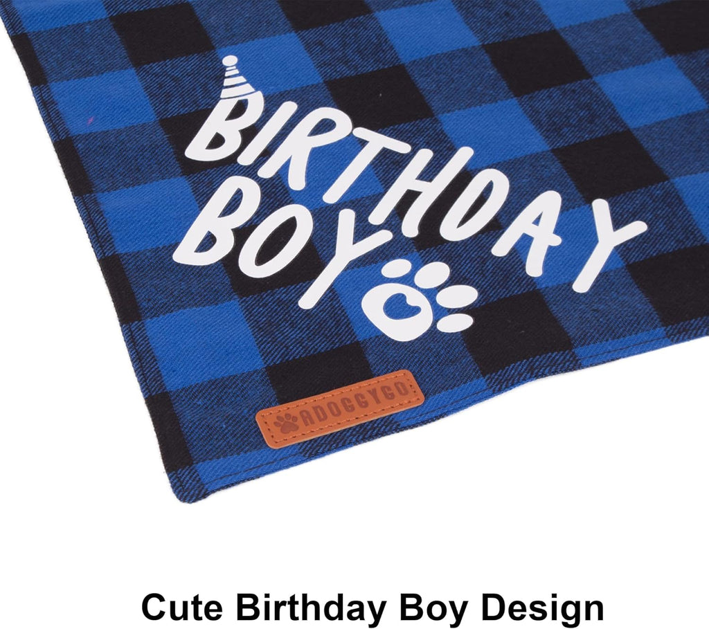 Kitten wearing blue birthday hat and bandana
