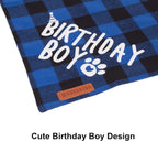 Kitten wearing blue birthday hat and bandana