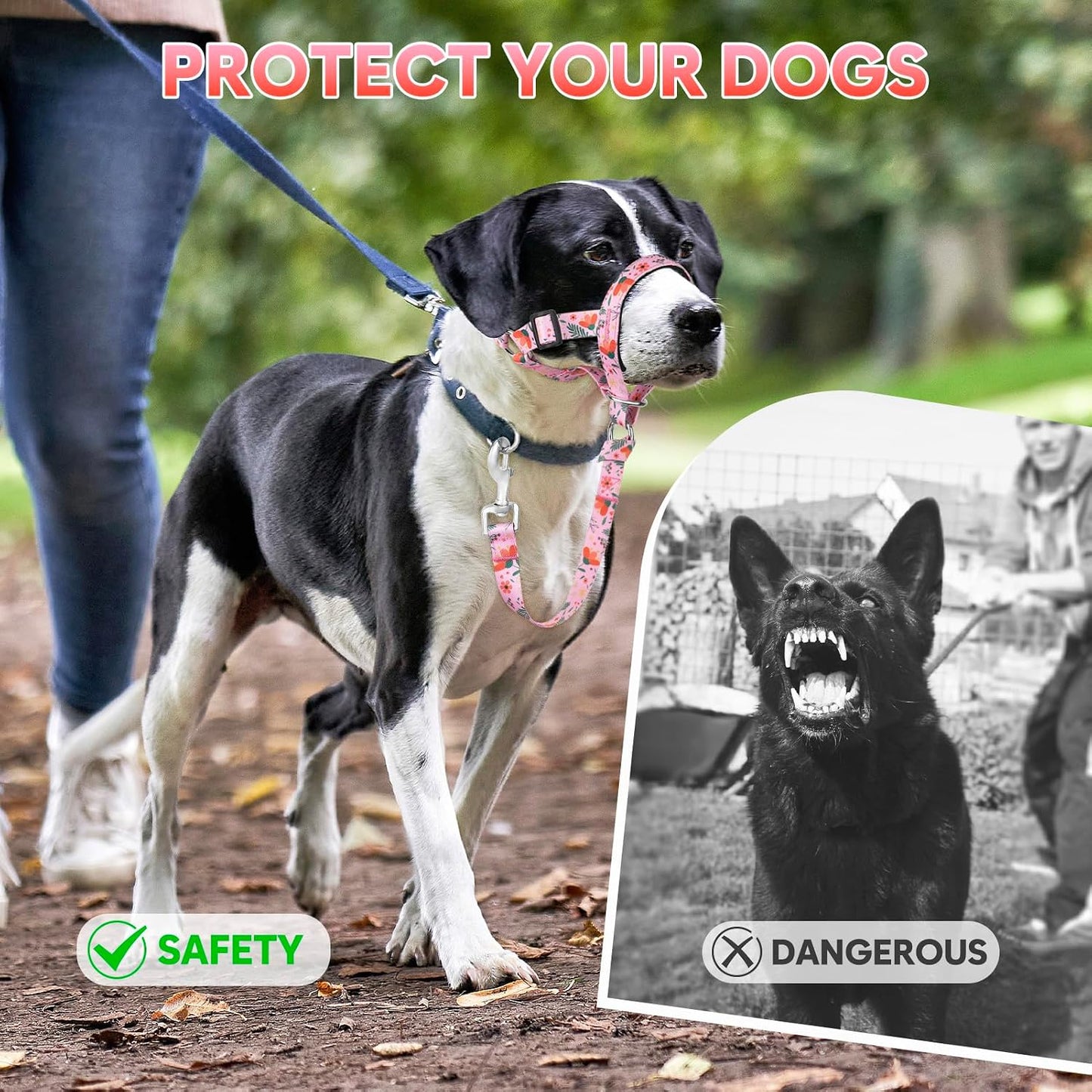 Demonstration of safety link on Ezierfy dog head halter