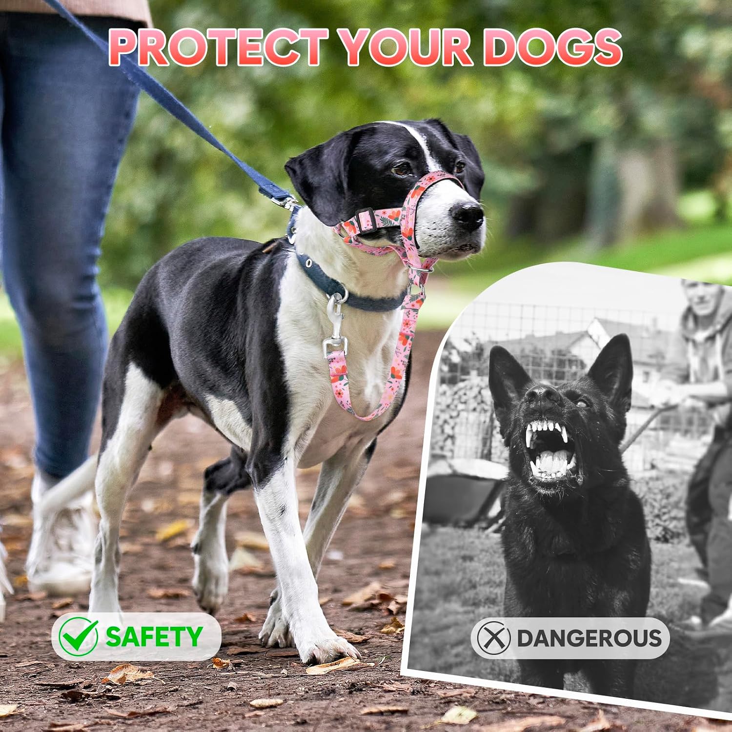 Demonstration of safety link on Ezierfy dog head halter