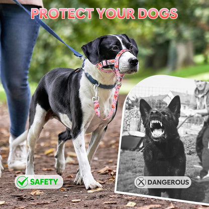Demonstration of safety link on Ezierfy dog head halter
