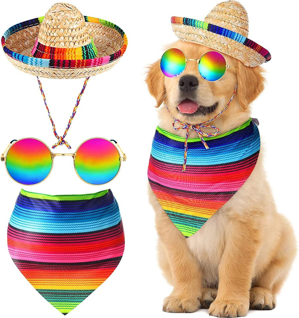 Ramede 3 piece Mexican pet costume set front view featuring sombrero and bandana