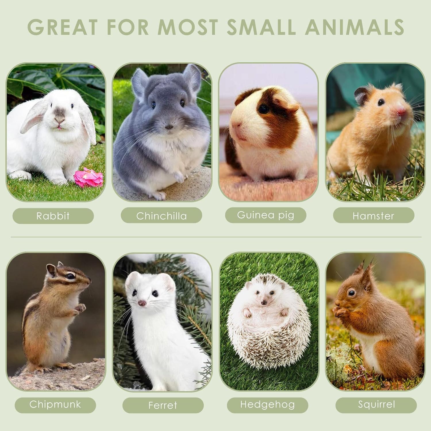 Premium USA imported ERKOON small size rodent treats for boredom relief.