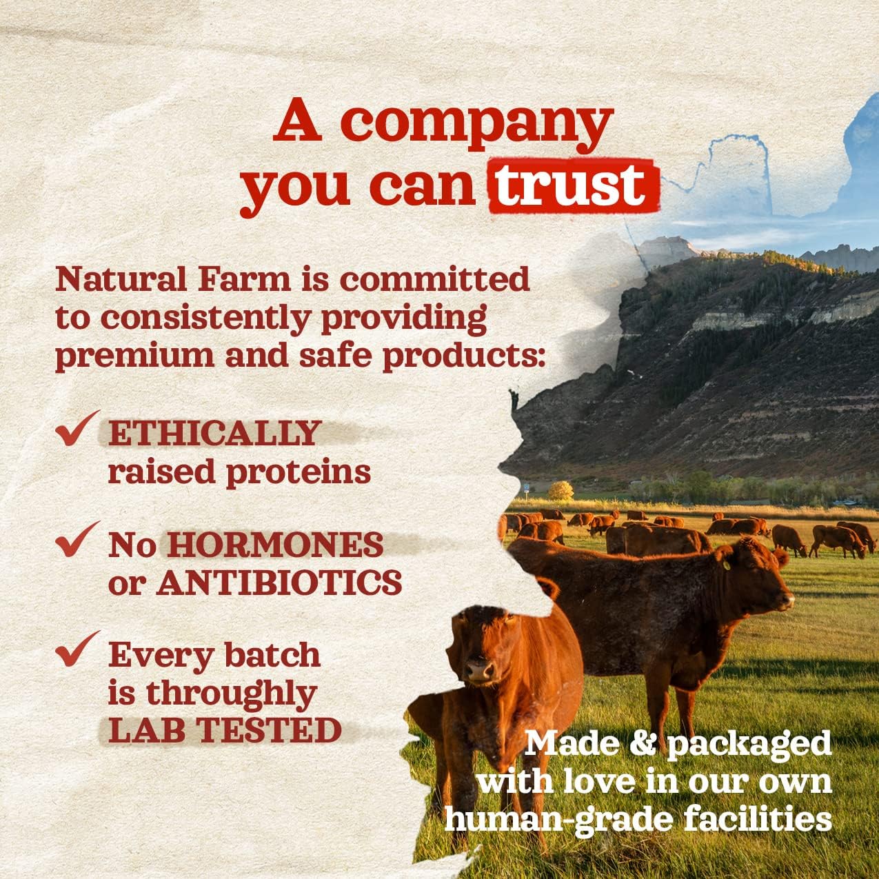 Natural Farm dog chew toy alternative for oral hygiene
